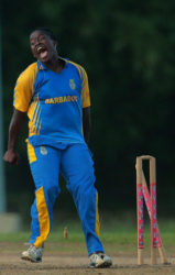 All-rounder Deandra Dottin … picked up four wickets to destroy the Jamaica innings. (file photo)  