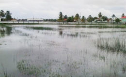 The Kayman Sankar Community Ground at Hampton Court remains waterlogged as a result of poor drainage in the area. 