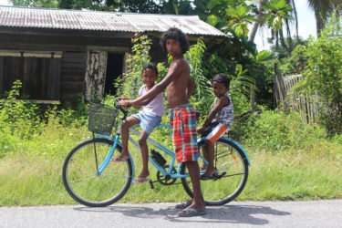 These children enjoyed being pushed home by a cousin