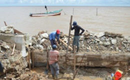 Ongoing rehabilitation works at the sea defence at Cornelia Ida, West Coast Demerara (GINA photo)