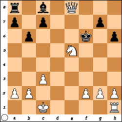 chess puzzle24