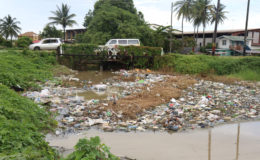 This trench at Good Hope, East Coast Demerara was swollen with water from the heavy rainfall but also clogged with garbage. One resident said that people from surrounding communities habitually dumped their rubbish in the waterway. (Photo by Keno George)