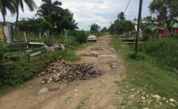 One of the roads in Plaisance where dry coconut husks have been used to fill the potholes.