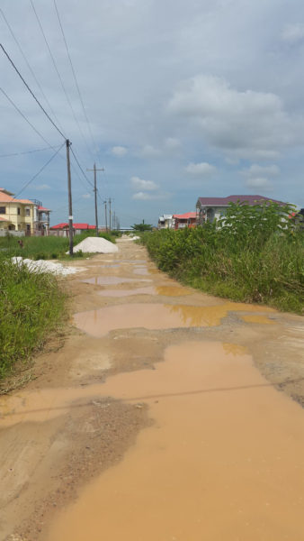 Residents of this yet-to-be-named street in Eccles Housing Scheme, in the so-called ‘young professionals scheme’ are crying out for the relevant authorities to conduct the necessary works that would ease their plight. 