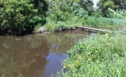 The canal to be cleared
