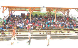 Hundreds of students filled the stands at D’urban Park during last Friday’s NSC Summer Camp closing ceremony.

