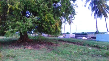 Area where Akeem Grimmond’s body was found