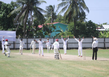  Lower Corentyne skipper Veersammy Permaul wins an lbw appeal during his five-wicket haul. 