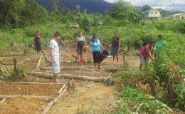 HEYS participants pursing agriculture in Kopinang Village, Region 8 are seen here watering plant beds. 