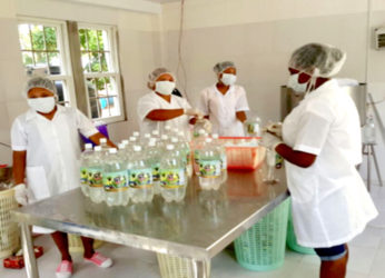 Bottling coconut water at Henville Farm 