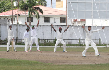 Off-spinner Gajanan Suknanan who destroyed East Coast with his seven wickets, wins an appeal yesterday at Bourda.