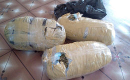  The wrapped parcels of marijuana 