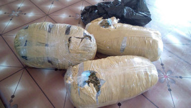  The wrapped parcels of marijuana 