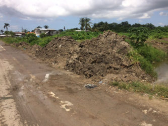 The mud pile at the side of the road near the Gafoors Nismes Shopping Complex 