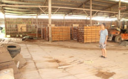  An employee stands in a semi-cleared sawmill at the Baishanlin Coomacka facility. 