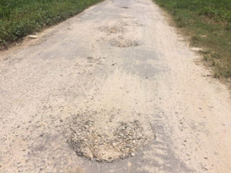 A section of Palmer Street lined with potholes. 