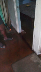 Sharon Harding stands in the water which settled at one of the bedroom doors.