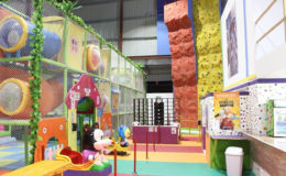 A glimpse inside the play park which is located at the Giftland Mall complex at Lilendaal and is now open to the general public.
