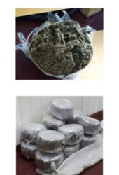This Guyana Police Force composite photo shows the two quantities of cannabis seized