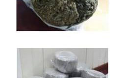 This Guyana Police Force composite photo shows the two quantities of cannabis seized