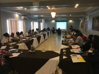 Customs Officers and Members of the Guyana Revenue Authority gathered yesterday at the conference room at the Grand Coastal Inn as one of the inspectors from the Government Analyst-Food and Drug Department (GA-FDD) makes a presentation. 