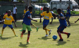 Flashback-Part of the group stage action in the 5th annual Court’s Pee-Wee Primary Schools football Championship at the Thirst Park ground