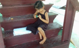 Little Ayeesha, Seroj Munessar’s granddaughter, colouring on the stairs.