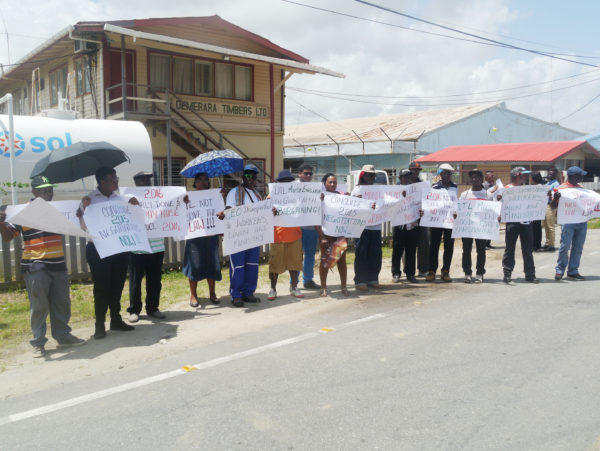 Workers of Demerara Timbers Limited protesting for wage increases in front of the company’s Georgetown office yesterday 