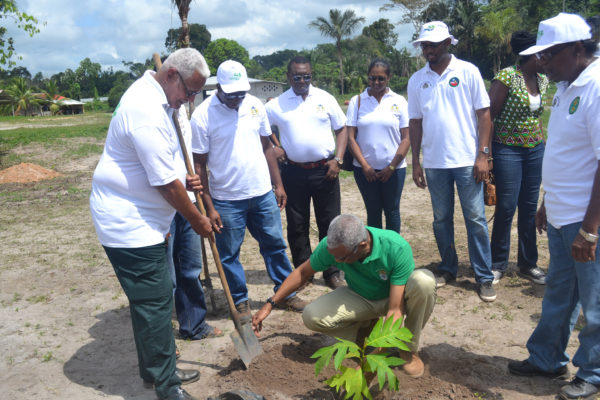 President David Granger planting a tree at Iwokrama yesterday in observance of National Tree Day, at which he plugged the greening of Guyana. National Tree Day 2016 was held under the theme, ‘Sustaining Biodiversity: Plant a Tree’.