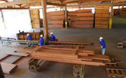Plyboard-making operations at Barama