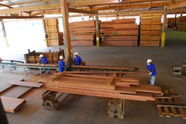 Plyboard-making operations at Barama