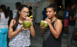 Responsible drinking: Almost everyone was taking a sip of the fresh coconut water that was available at the Guyana Coconut Festival, which was declared opened yesterday. See story on centre pages. (Keno George photo) 