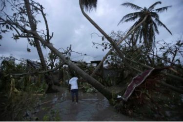 A man walks amongst trees damaged by Hurricane Matthew in Les Cayes, Haiti, October 5, 2016. REUTERS/Andres Martinez Casares