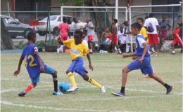 David Xavier (centre/blue) challenging a Marian Academy player for possession of the ball during their quarterfinal matchup in the Courts Pee Wee Football Championship at the Thirst Park ground
