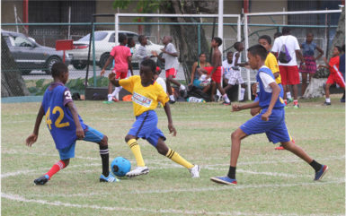 David Xavier (centre/blue) challenging a Marian Academy player for possession of the ball during their quarterfinal matchup in the Courts Pee Wee Football Championship at the Thirst Park ground 