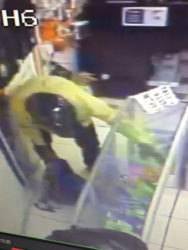 One of the bandits emptying one of the glass cases into his bag. 