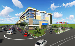 An artist’s impression by Aqua Sun Design of the Orchid Garden Hotel and Shopping mall when completed. 