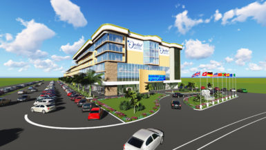 An artist’s impression by Aqua Sun Design of the Orchid Garden Hotel and Shopping mall when completed. 