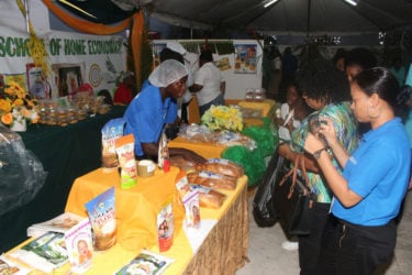 Coconut products displayed at the coconut festival