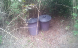 The two plastic bins which were discovered behind the market yesterday afternoon; they were said to have contained a quantity of stolen items from the break in at the Lethem Market on Tuesday evening. 