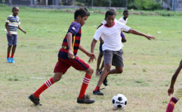 Members of the St. Agnes Primary School training arduously for their impending final’s encounter, as they strive to upset defending champion and neighbour St. Angela’s, in the 5th Annual Courts Pee Wee Championship  
