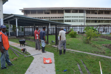 Construction workers erect a fence around the new boundary of the Queen’s College agriculture plot. (Photo by Orlando Charles)
