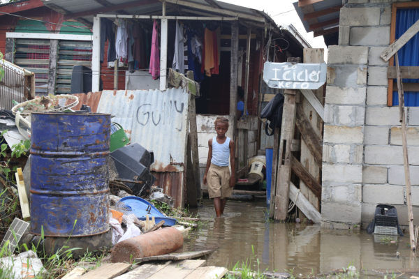 A child wades through the floodwater in his ‘D’ Field, Sophia yard after heavy rainfall early yesterday morning. (Photo by Keno George)