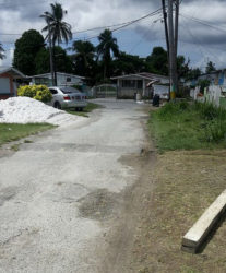 The section of Avocado Avenue, West Ruimveldt where Rodney was shot