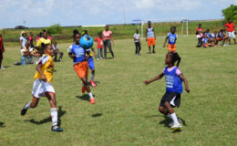 Part of the action in the 1-1 draw between St. Angela’s (yellow) and F.E. Pollard (blue) in the 3rd Annual Smalta Girls Pee Wee Football Championship at the Ministry of Education ground on Carifesta Avenue