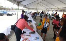 A section of the Health Fair which was hosted by the Ministry of Public Health at D’Urban Park on Friday. 