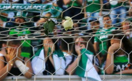  A flower is seen as fans of Chapecoense pay tribute at the Arena Conda stadium in Chapeco, Brazil (REUTERS/Ricardo Moraes)
