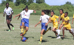 Hot Pursuit- St. Gabriel’s defenders (yellow) chasing two St. Pius (white) attackers at the Ministry of Education ground in the 3rd Annual Smalta Girls Pee Wee Football Championship (Orlando Charles photo) 

