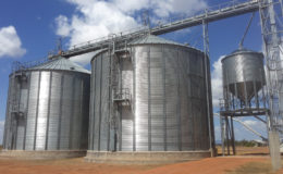 Silos at the rice mill. 