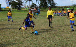 Part of the semi-final action between St. Pius (blue) and West Ruimveldt (yellow) in the third annual Smalta Girls Pee Wee football tournament at the Ministry of Education ground